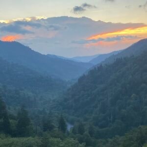 Revolutionary All-in-One Household Robot for Effortless Living